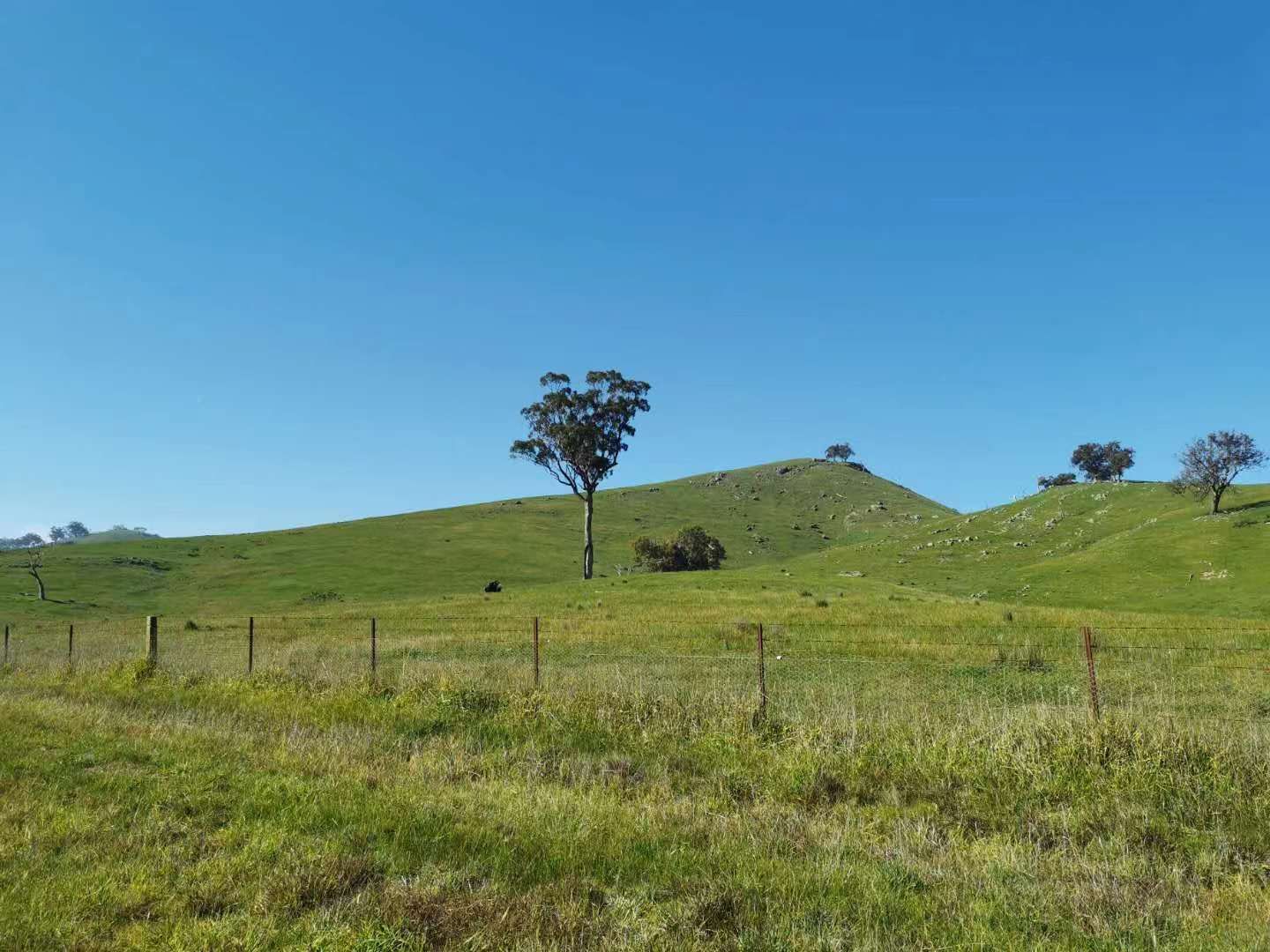 Property view 2