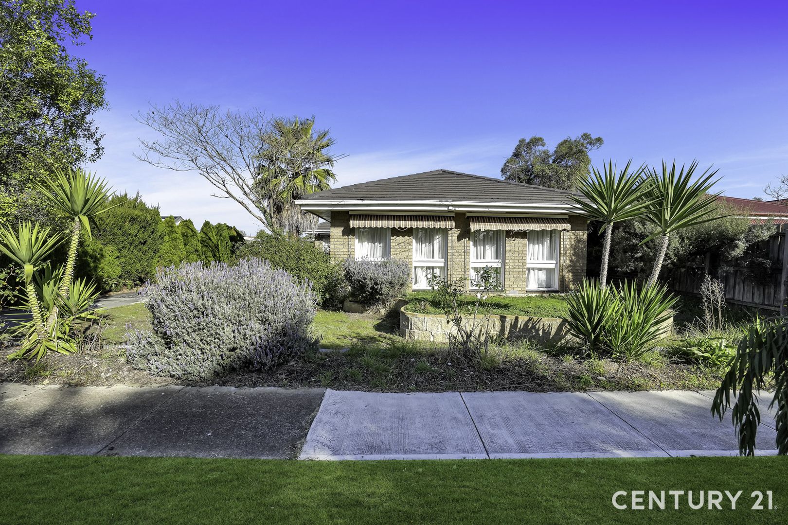Property view 2