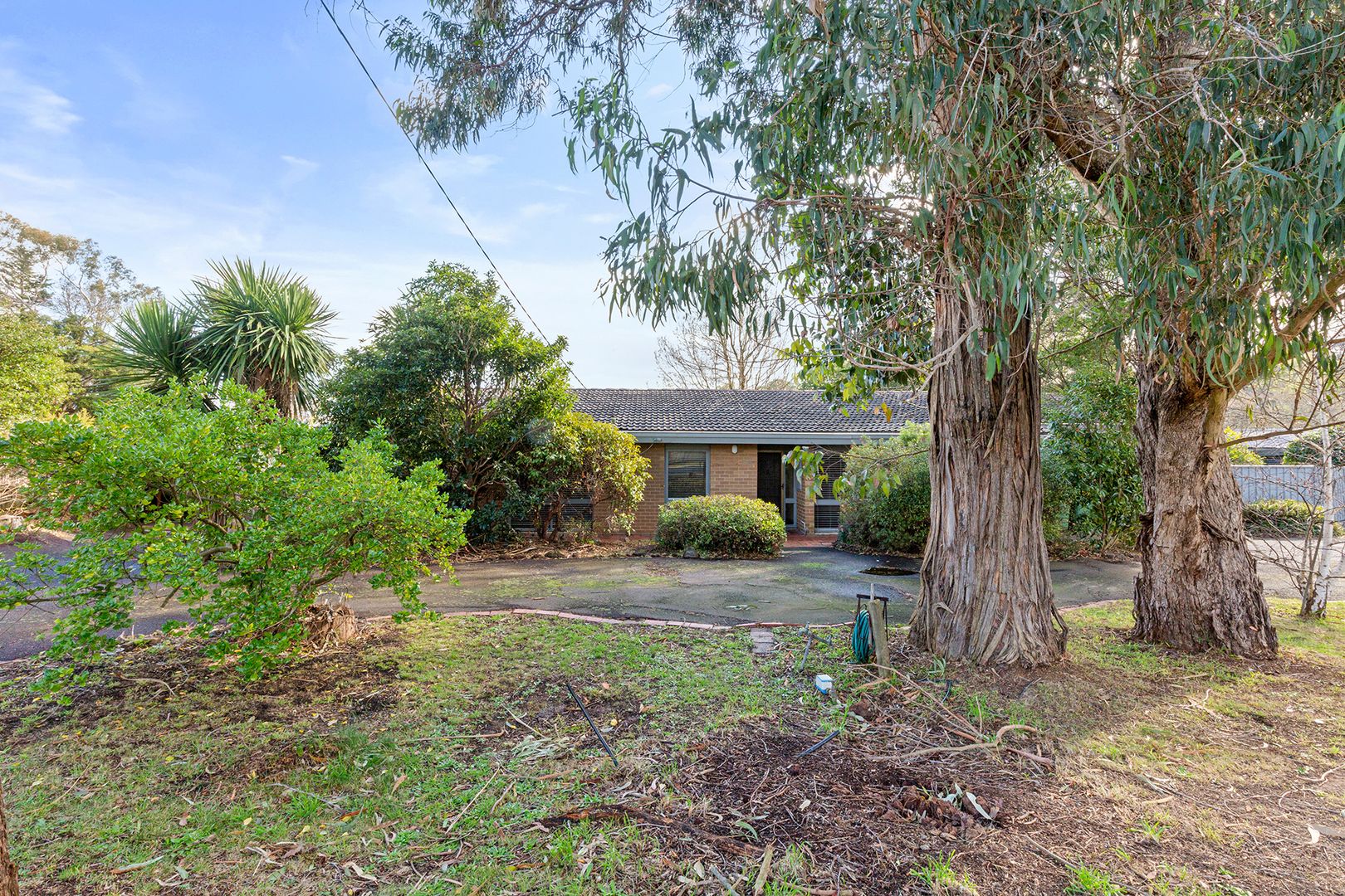 Property view 2