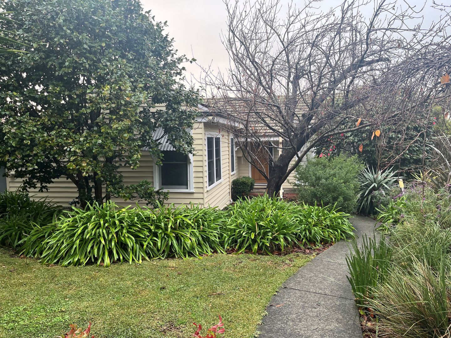 Property view 2